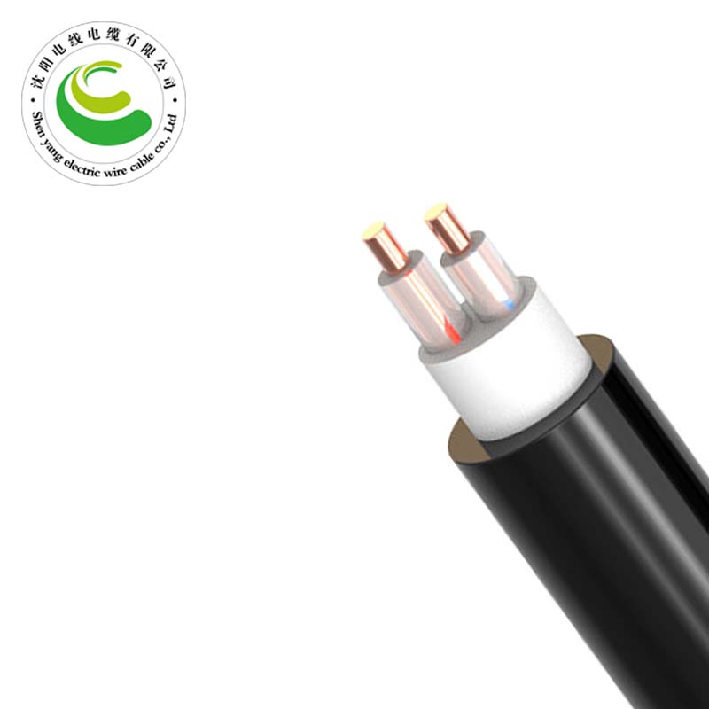 2芯（单根）  ZR-VV  2*1.5mm?--2*50mm? 铜芯电缆 阻燃铜芯聚氯乙烯绝缘聚氯乙烯护套电力电缆