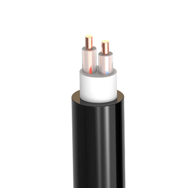 2芯（单根）  ZR-VV  2*1.5mm?--2*50mm? 铜芯电缆 阻燃铜芯聚氯乙烯绝缘聚氯乙烯护套电力电缆