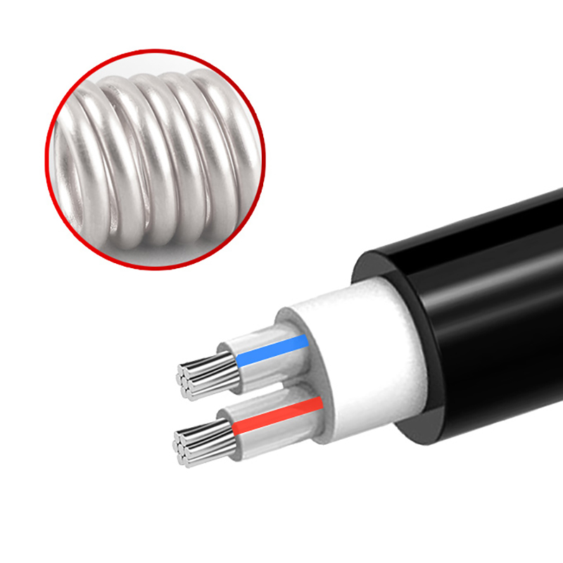 2芯  ZR-YJLV 2*10mm?--2*35mm? 铝芯交联聚乙烯绝缘聚氯乙烯护套线电力电缆