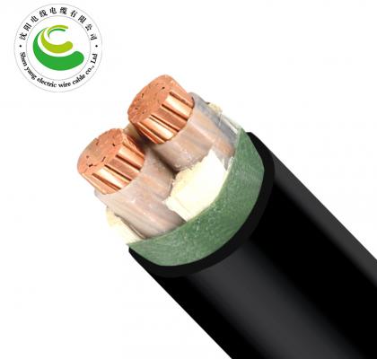 2芯(多根) ZR-YJV 2*1.5mm?--2*50mm? 交联聚乙烯绝缘聚氯乙烯护套电力电缆  铜芯电力电缆