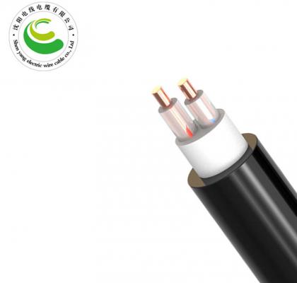 2芯（单根）  ZR-VV  2*1.5mm?--2*50mm? 铜芯电缆 阻燃铜芯聚氯乙烯绝缘聚氯乙烯护套电力电缆