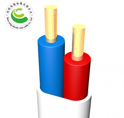2芯  ZR-BVVB  2*1.0mm?--2*10mm?  铜芯电缆 阻燃铜芯聚乙烯绝缘聚氯乙烯护