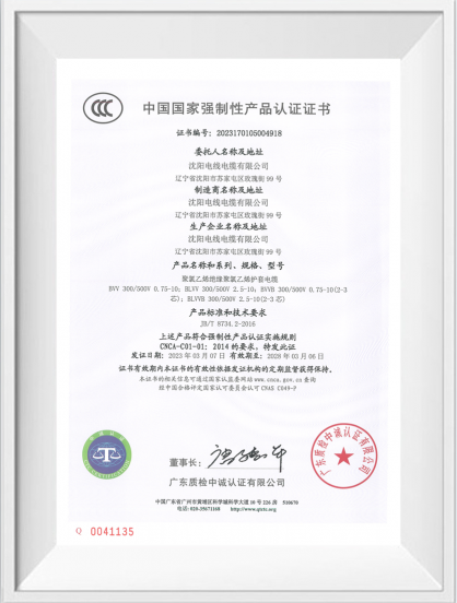 中国国度强造性产品认证证书【BVV】