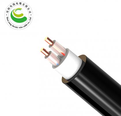 2芯（单根） ZR-YJV 2*1.5mm?--2*50mm? 交联聚乙烯绝缘聚氯乙烯护套电力电缆  铜芯电力电缆