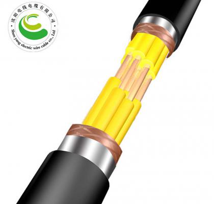 16芯  ZR-KVVP22  2--30芯*（ 1.5--2.5mm?）  阻燃铜芯聚氯乙烯绝缘聚乙烯护套钢带铠装电缆