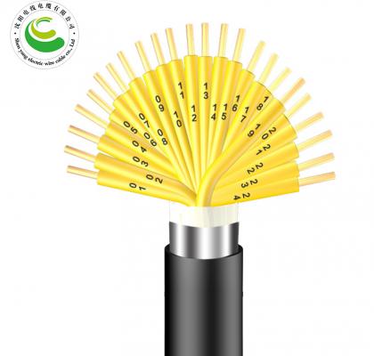 24芯  ZR-KVV22 2--30芯*（ 1.5-2.5mm?）  阻燃铜芯聚氯乙烯绝缘聚乙烯护套钢带铠装电缆